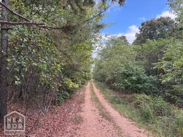 1111 Bob Davis Mountain Rd, Pleasant Grove, AR 72567