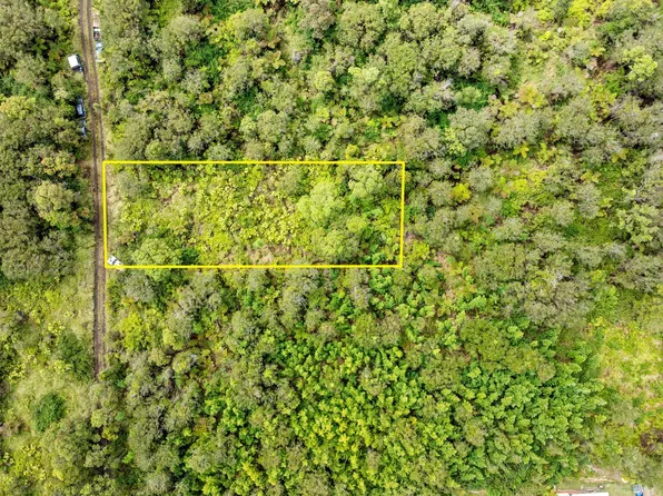 Road 7 Lot 447, Mountain View, HI 96771