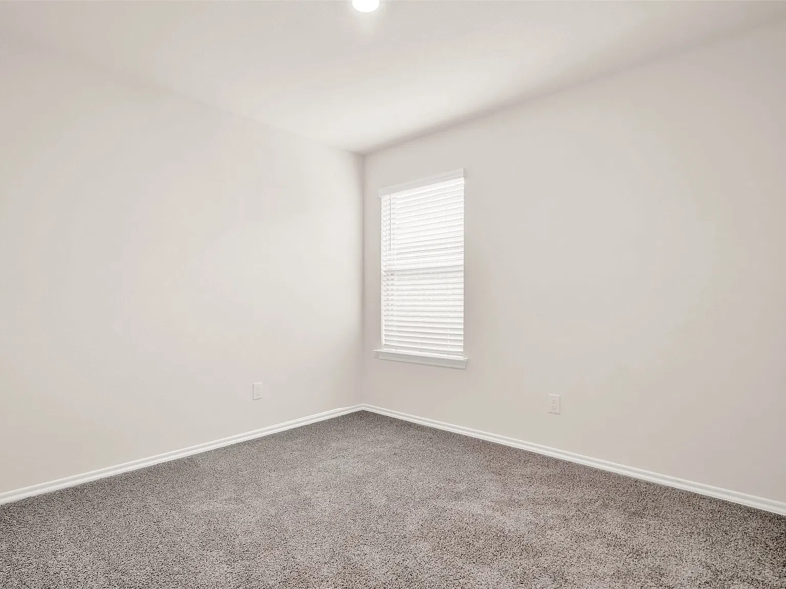 3 bed, 2.0 bath, 1294 sqft, $1,800 — Photo 3
