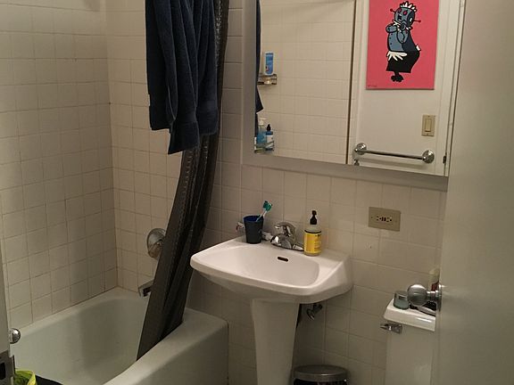 4th image of 250 E Houston St APT 9H