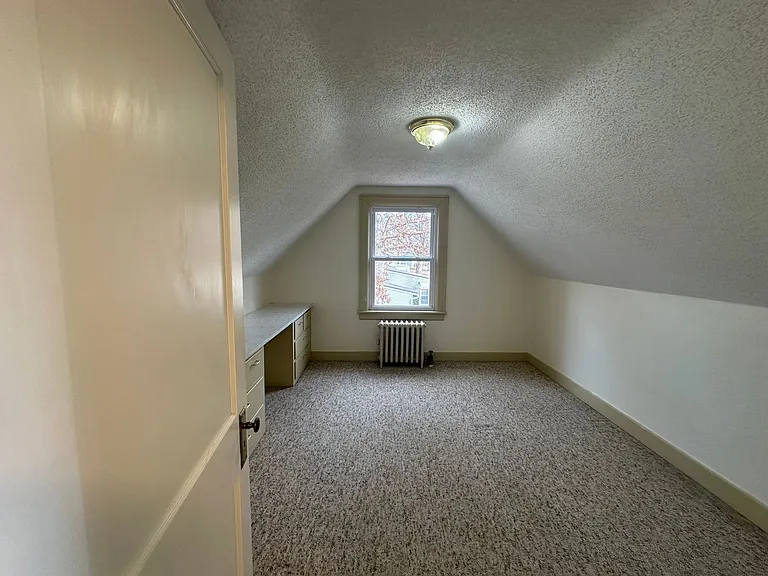 1321 Peaks St — Photo 19