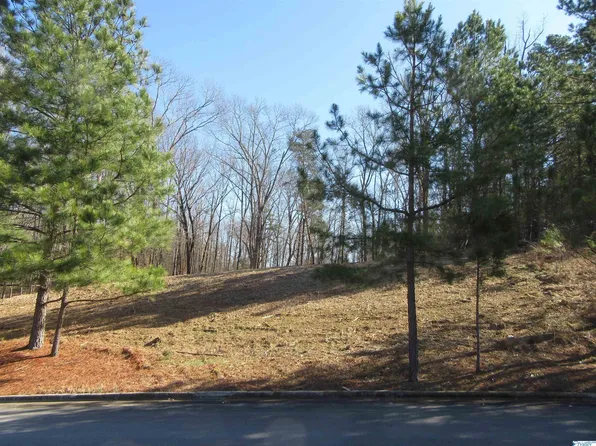 3506 Chula Vista Ridge Dr SW, Decatur, AL 35603