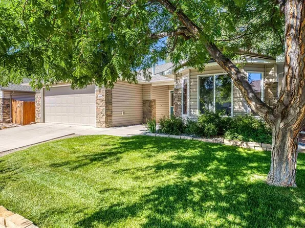 1309 Brush Creek Avenue, Montrose, CO 81401