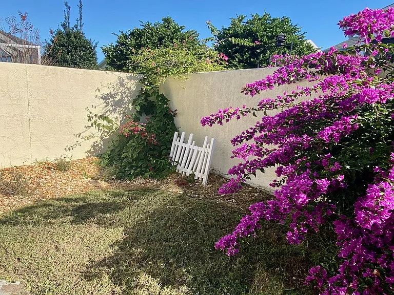 Another part of courtyard