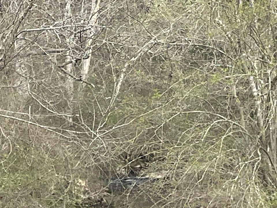 Crow Mountain Rd, Russellville, AR 72802 MLS 23609 Zillow