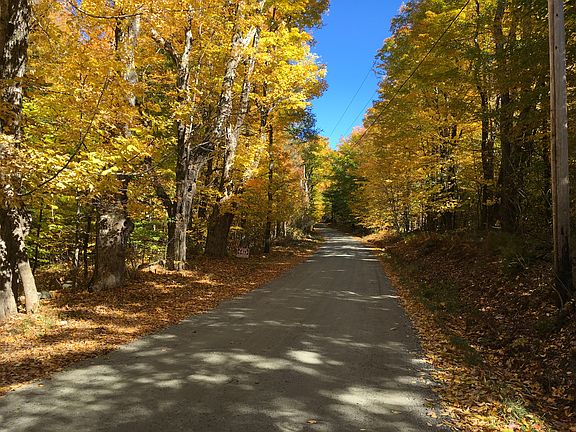 Quiet country road