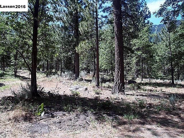 1st image of Dusty Ln