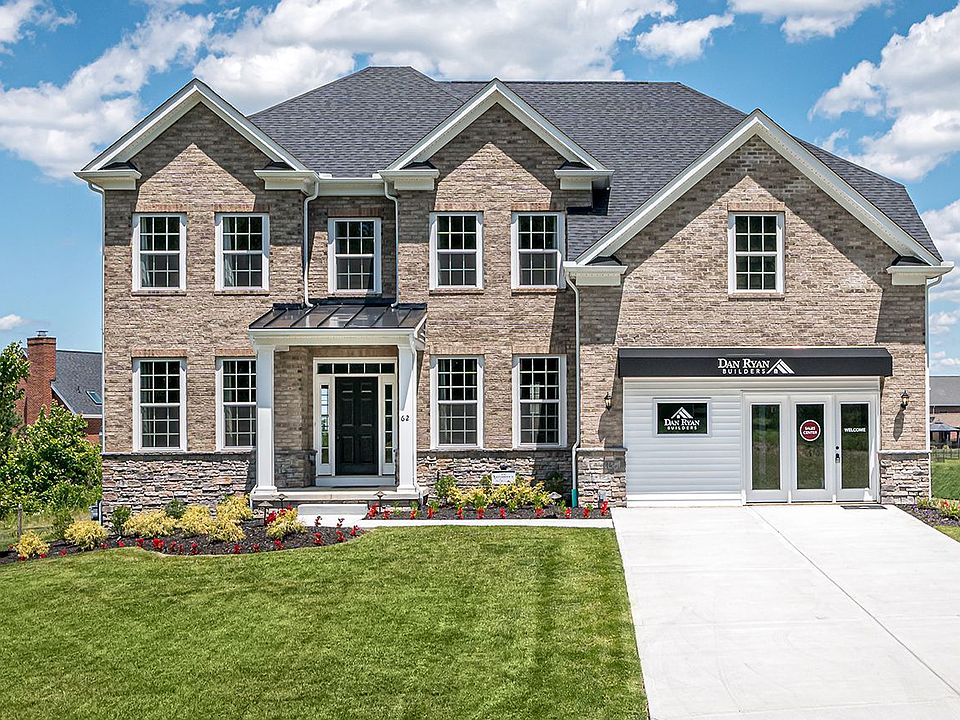 Elevation 8