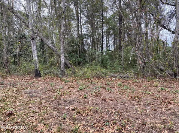 LOT 152 Grouper Rd Lot 152, Gautier, MS 39553