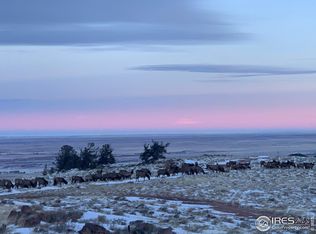 386 Northway Ln, Red Feather Lakes, CO 80545