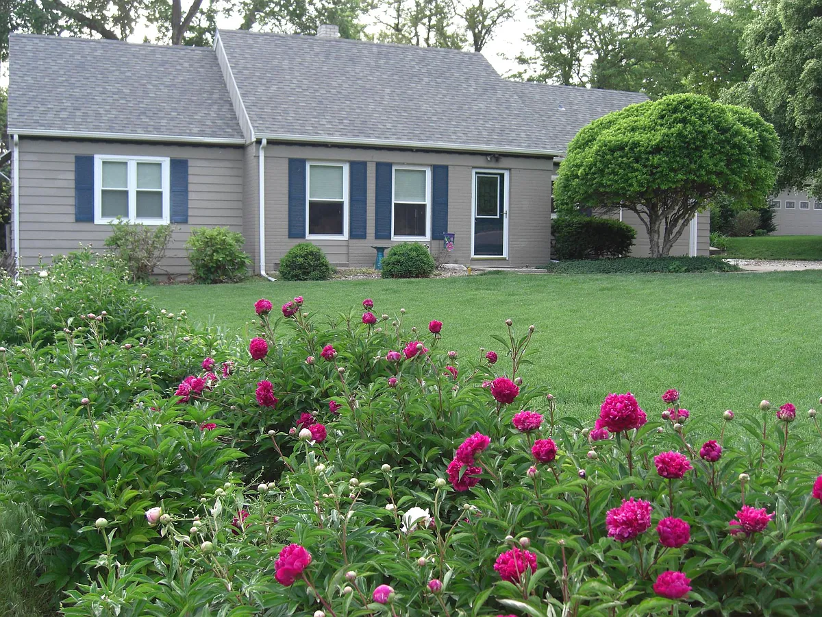 Building Photo - 1405 Sunnyslope Ln