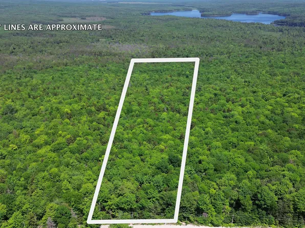 Lot 3 Martins Ridge Road, Franklin, ME 04634