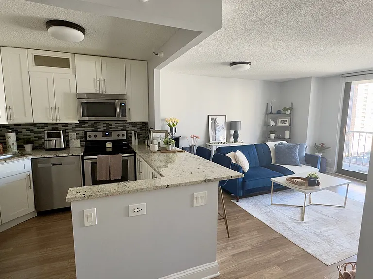 10 E Ontario St #2101 — Photo 3