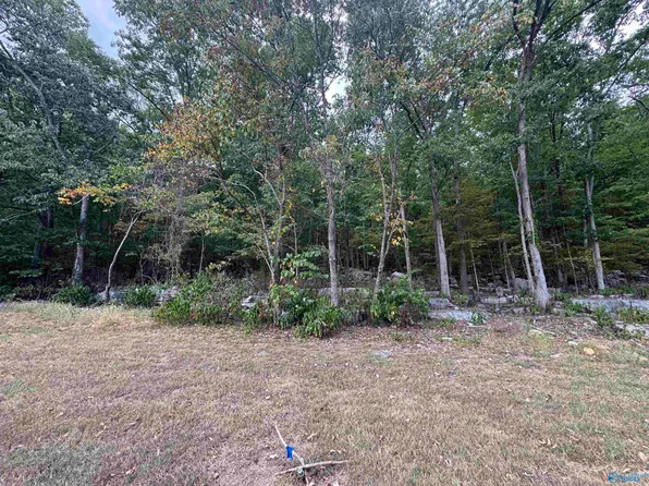 3117 Haver Hill Ln SE, Owens Cross Roads, AL 35763