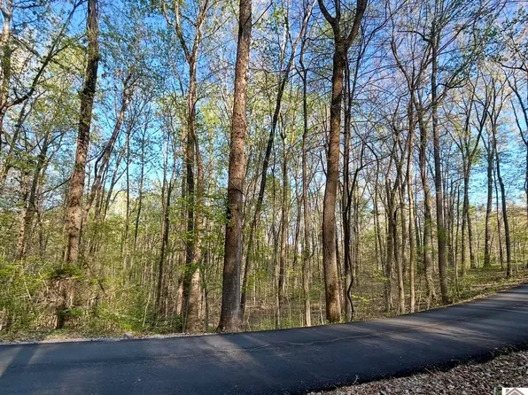 LOT 14 Commerce Lndg, Eddyville, KY 42038