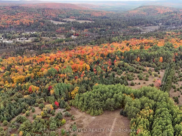 0 McLean Rd, Hastings Highlands, ON K0L 2R0