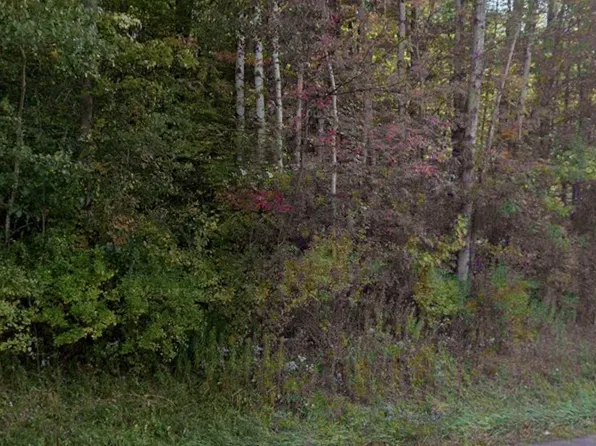 0 Route 16 Lot 18, Franklinville, NY 14737