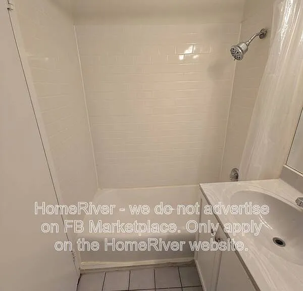 21 W Goethe St #4E — Photo 12