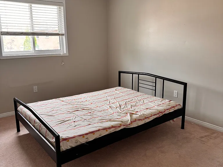 6 Nina Pl — Photo 18