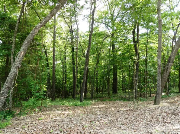 50 Harbor Loop, Jasper, AL 35504