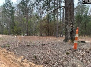 344 Terry Rd, Pelion, SC 29123