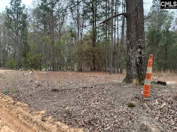 344 Terry Rd, Pelion, SC 29123