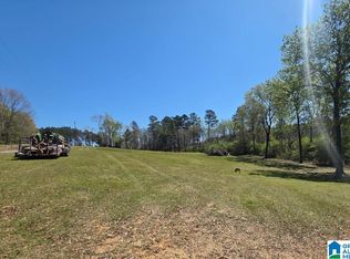 0 Blue Hole Rd #0, Pell City, AL 35128