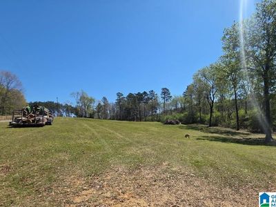 0 Blue Hole Rd #0, Pell City, AL, 35128