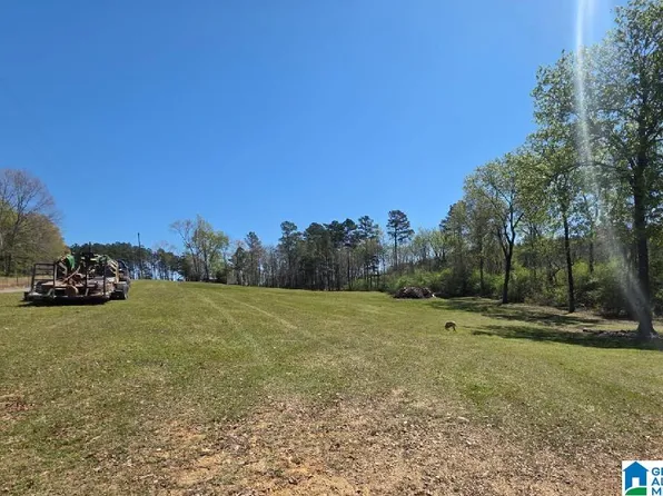 0 Blue Hole Rd #0, Pell City, AL 35128