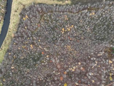 20 Acres OLD STATE HIGHWAY 17, Gleason, WI, 54435