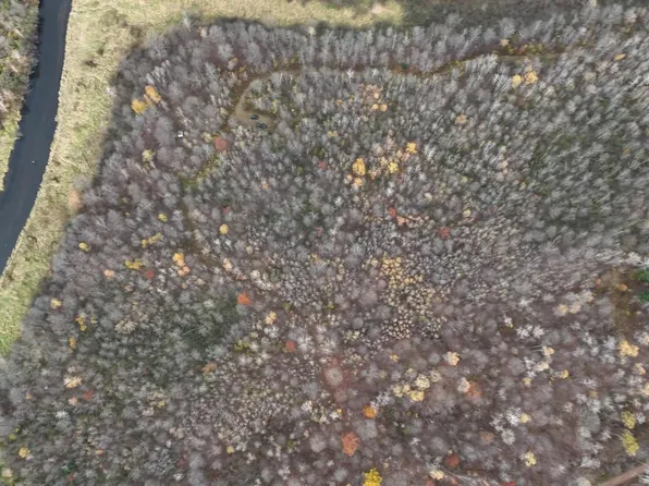 20 Acres OLD STATE HIGHWAY 17, Gleason, WI 54435