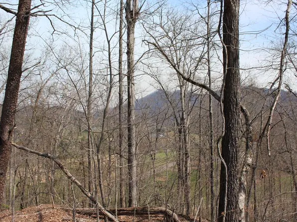 LOT-83A Licklog Rdg, Hayesville, NC 28904