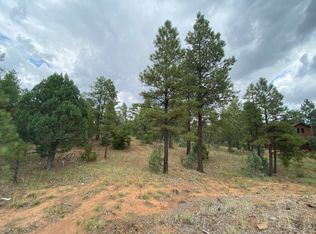 4160 Shaggy Bark Rd, Show Low, AZ 85901
