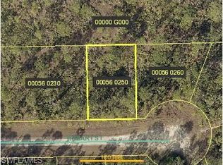 1045 Hobart St, Lehigh Acres, FL 33974