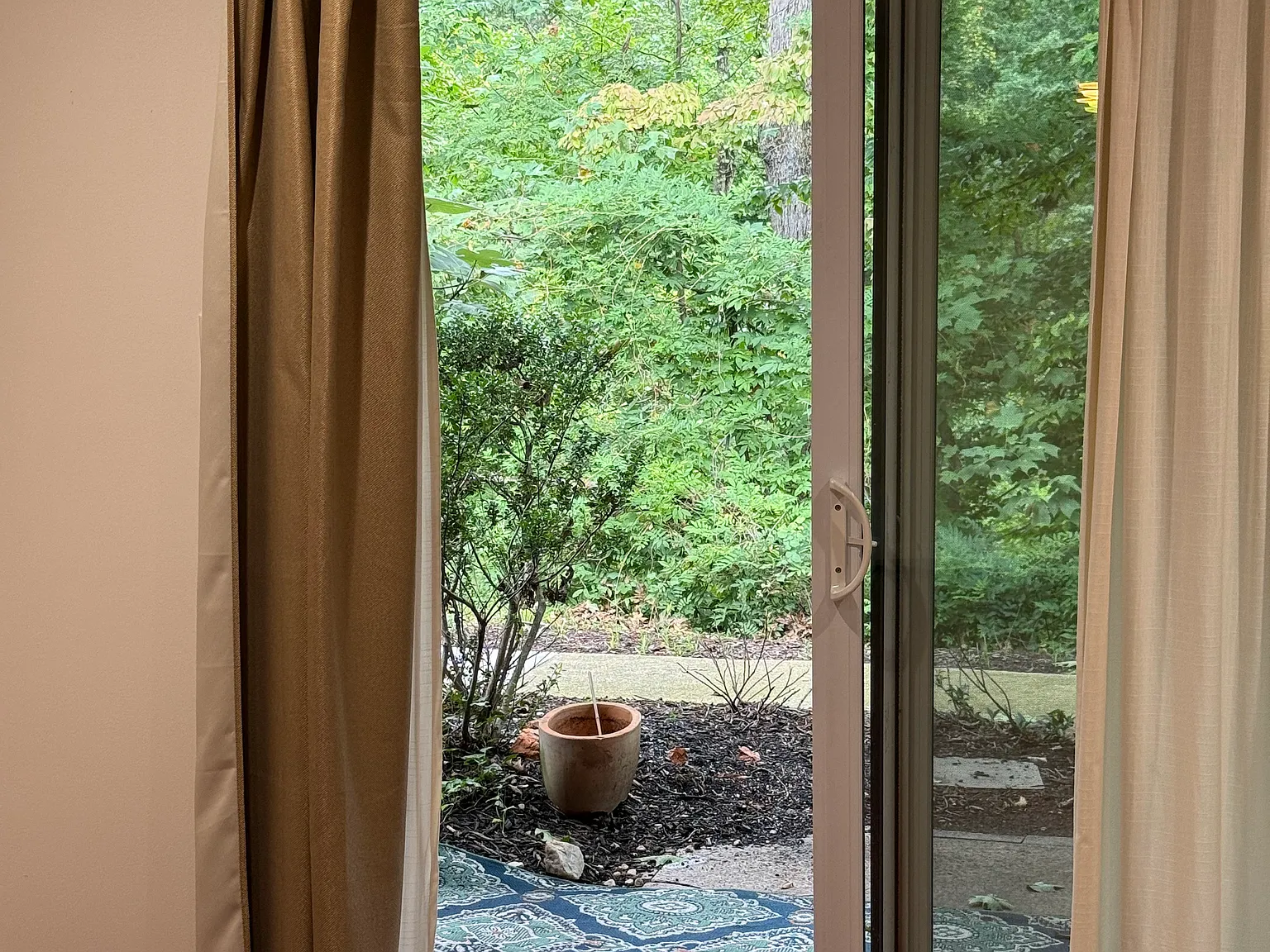 1 bed, 655 sqft, $1,600 — Photo 4