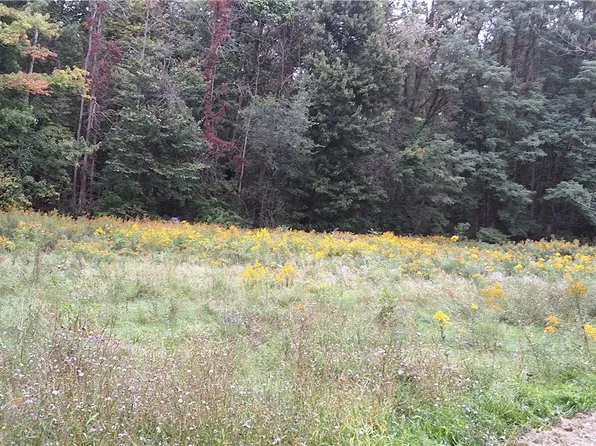 0 Southard Rd, Cato, NY 13033