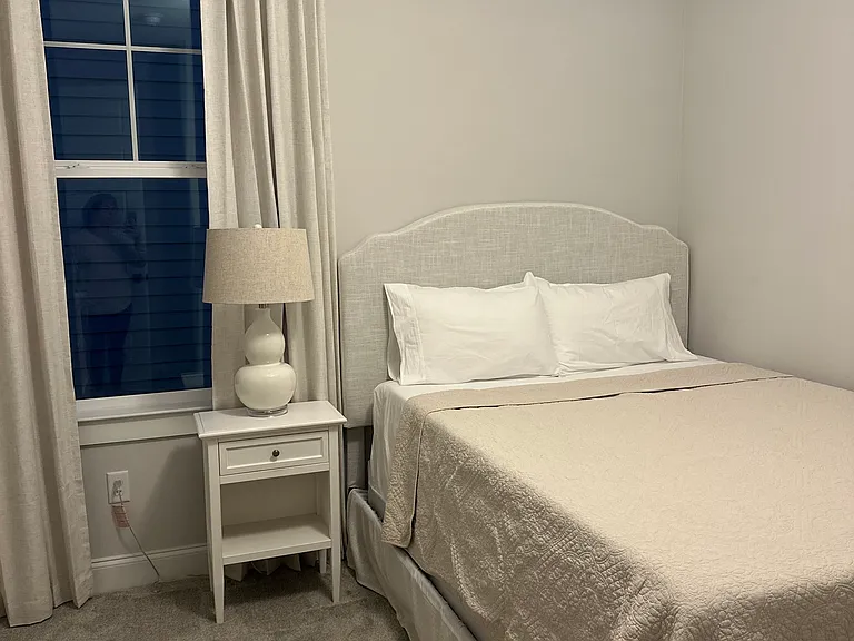 700 Turkey Oak Cv — Photo 4