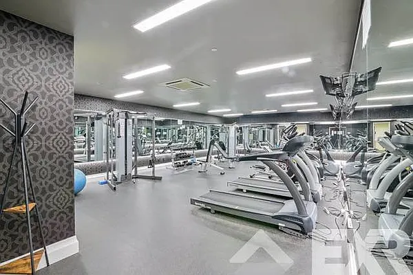 Rented by Fiddler Realty | media 23