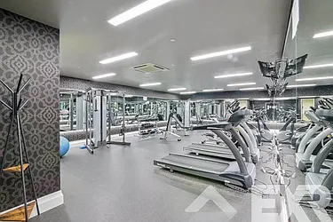 Rented by Fiddler Realty