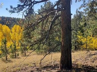 2911 N Mountain Estates Rd, Florissant, CO 80816