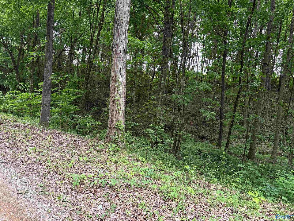 2nd image of 2756 Wilhite Rd