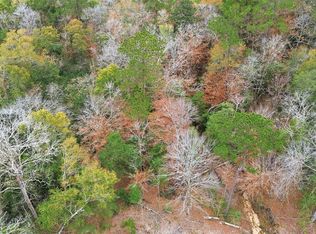 Lady Luck Pid 246444 Ln LOT 59, Livingston, TX 77351