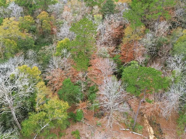 Lady Luck Pid 246444 Ln Lot 59, Livingston, TX 77351