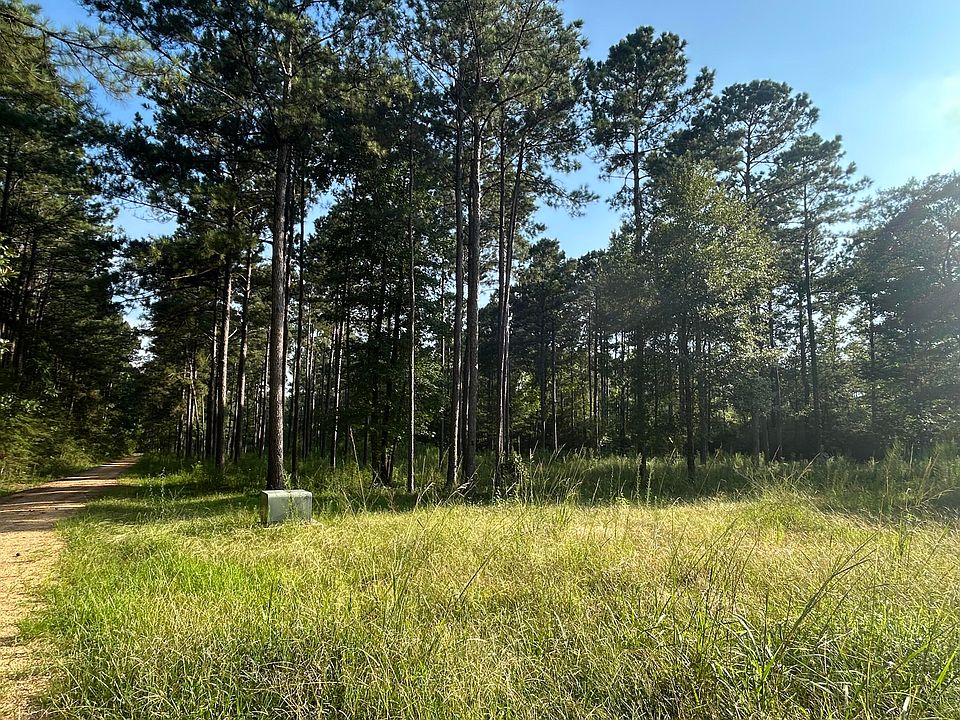 2nd image of 64 Dewey Smith Rd