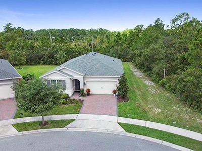 3903 Winged Elm Ct, Clermont, FL, 34714