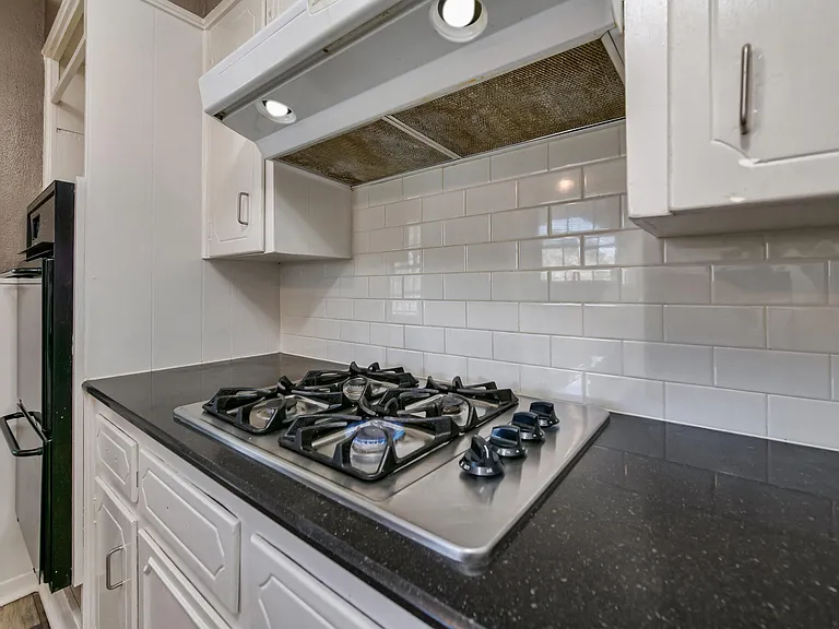Gas Stove