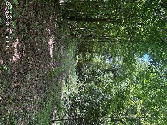 4th image of County Road 180