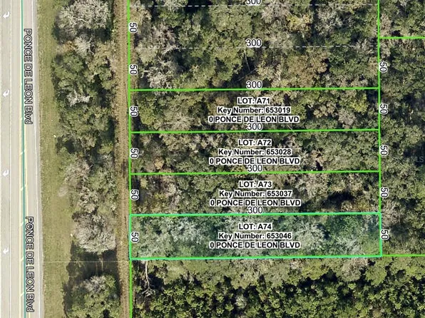 Ponce De Leon Blvd Lot A-74, Brooksville, FL 34601
