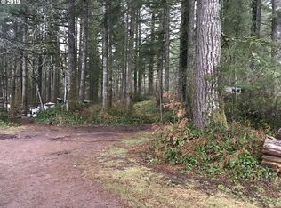 3 Lewis River Rd, Ariel, WA 98603