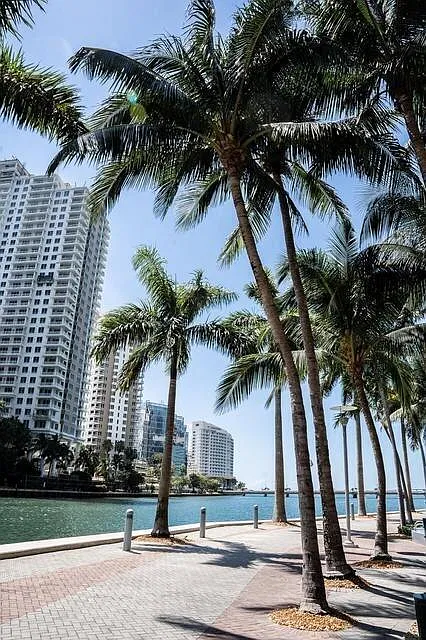 2 bed, 1450 sqft, $8,500 — Photo 3